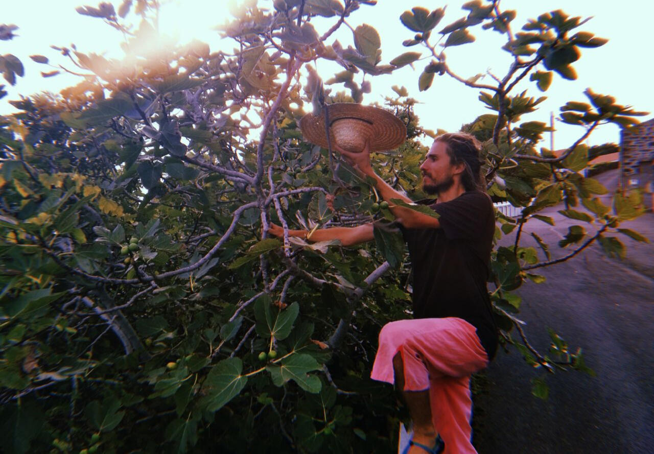 Michal Korzonek on a tree